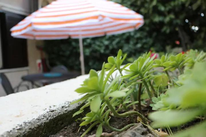 Spinut & Marjan Apartment Split